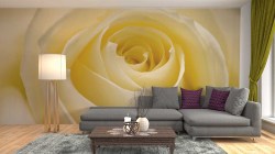 fotobehang woonkamer gele roos